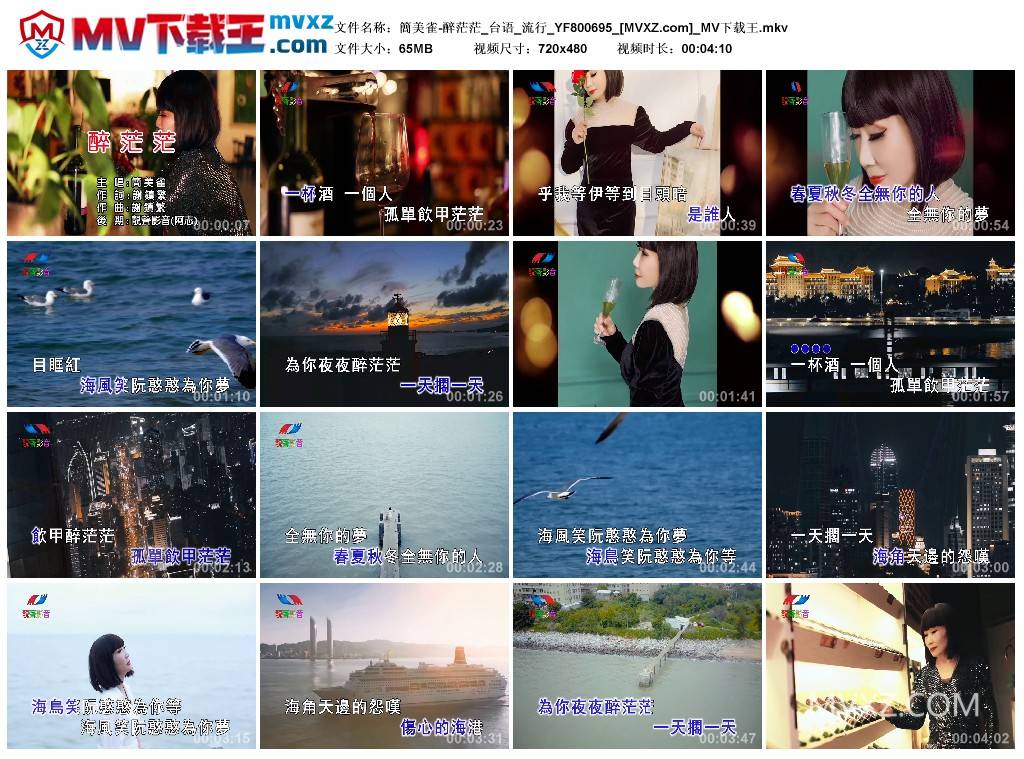 簡美雀-醉茫茫_台语_流行_YF800695
